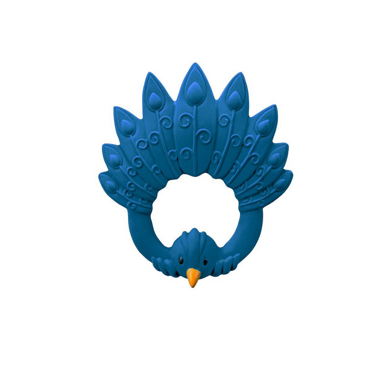 Nagpáfugl - dökkblár